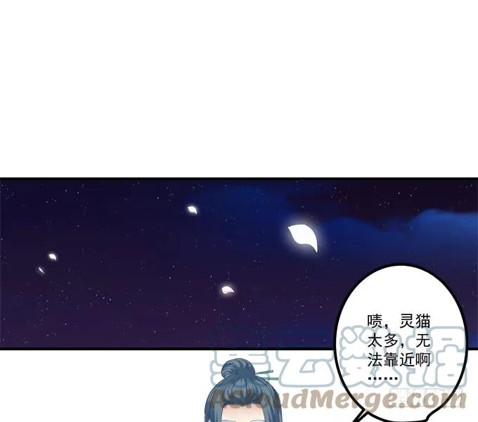 《猫妖的诱惑》没办法，只能私奔了！ 第16页