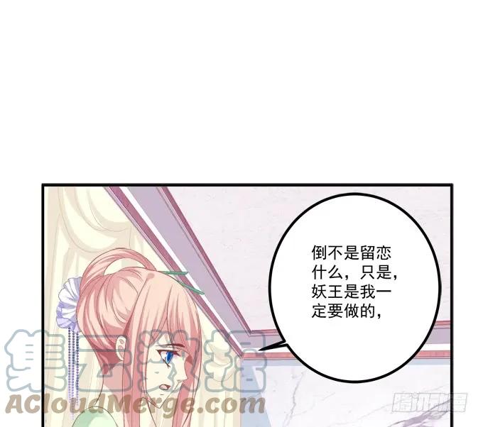 《猫妖的诱惑》就由我来替代你吧！ 第13页