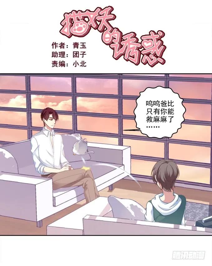 《猫妖的诱惑》无处可逃 第2页