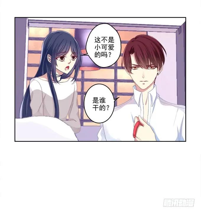 《猫妖的诱惑》无处可逃 第5页