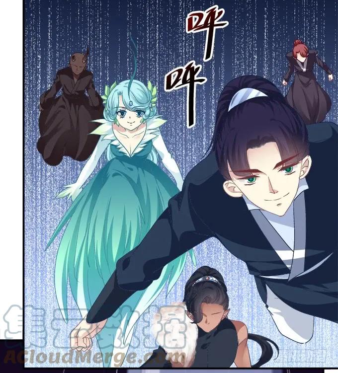 《猫妖的诱惑》妖王宴！ 第55页