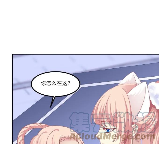 《猫妖的诱惑》老子会飞，你说气不气！ 第34页