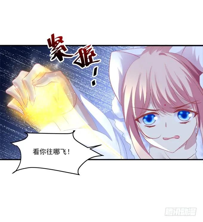 《猫妖的诱惑》谁让你舔我的！ 第51页