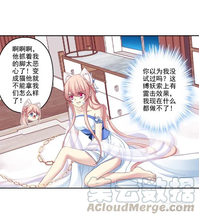《猫妖的诱惑》神兵天降 第4页