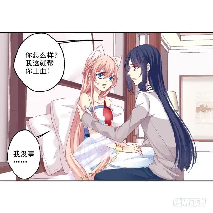 《猫妖的诱惑》神兵天降 第39页