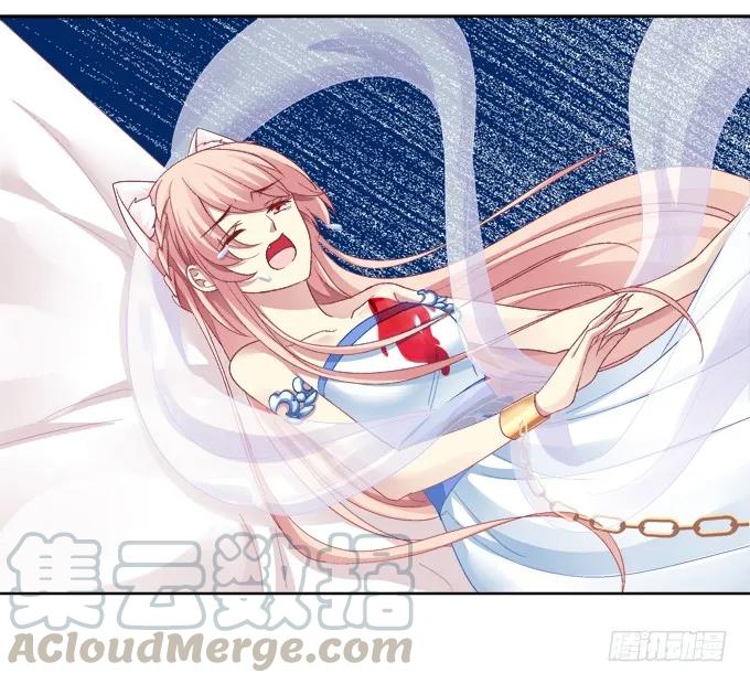 《猫妖的诱惑》神兵天降 第13页
