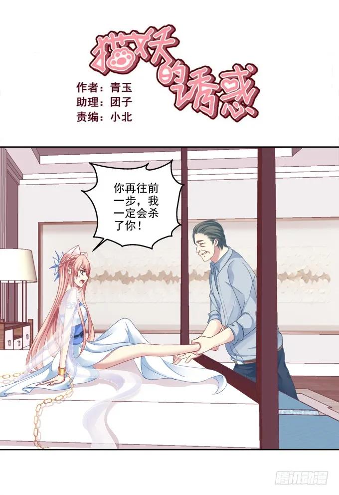 《猫妖的诱惑》神兵天降 第2页