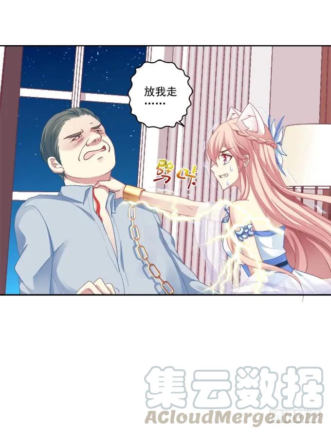 《猫妖的诱惑》神兵天降 第7页