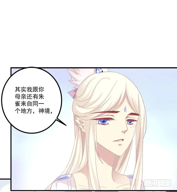 《猫妖的诱惑》白羽之死的真相！ 第24页