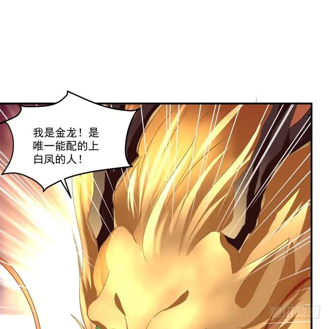 《猫妖的诱惑》白羽之死的真相！ 第63页