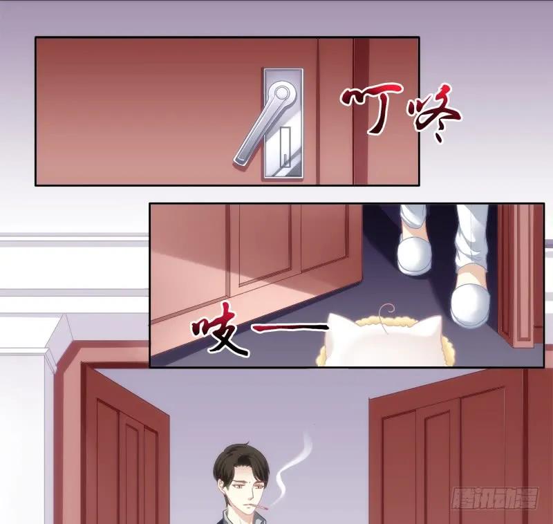 《猫妖的诱惑》免费福利番外！ 第24页
