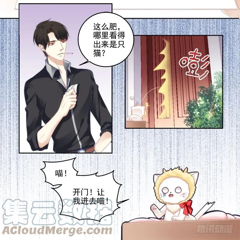 《猫妖的诱惑》免费福利番外！ 第27页
