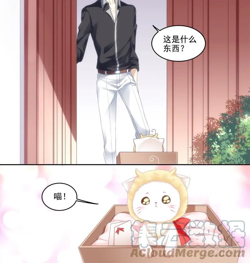 《猫妖的诱惑》免费福利番外！ 第25页
