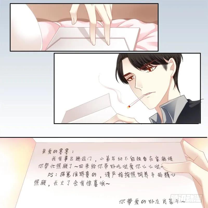 《猫妖的诱惑》免费福利番外！ 第26页
