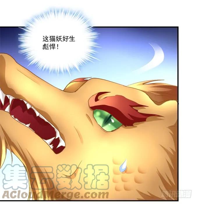 《猫妖的诱惑》猫儿，揍他！ 第22页