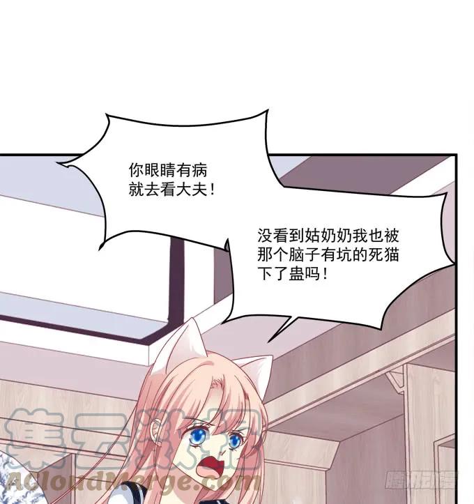 《猫妖的诱惑》我来接你了！ 第19页