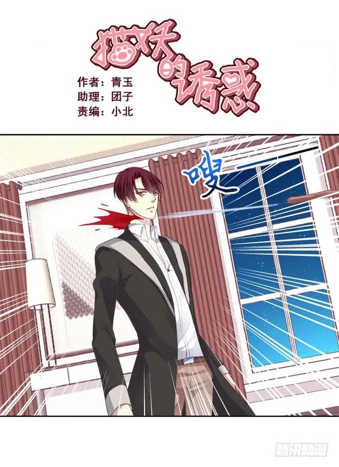《猫妖的诱惑》不会离开你 第2页