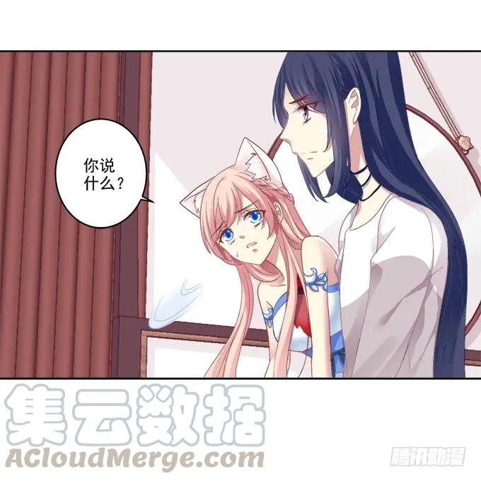 《猫妖的诱惑》不会离开你 第7页