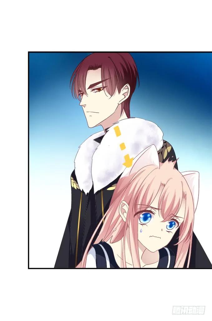 《猫妖的诱惑》霸道总裁的逃跑小娇妻！ 第26页