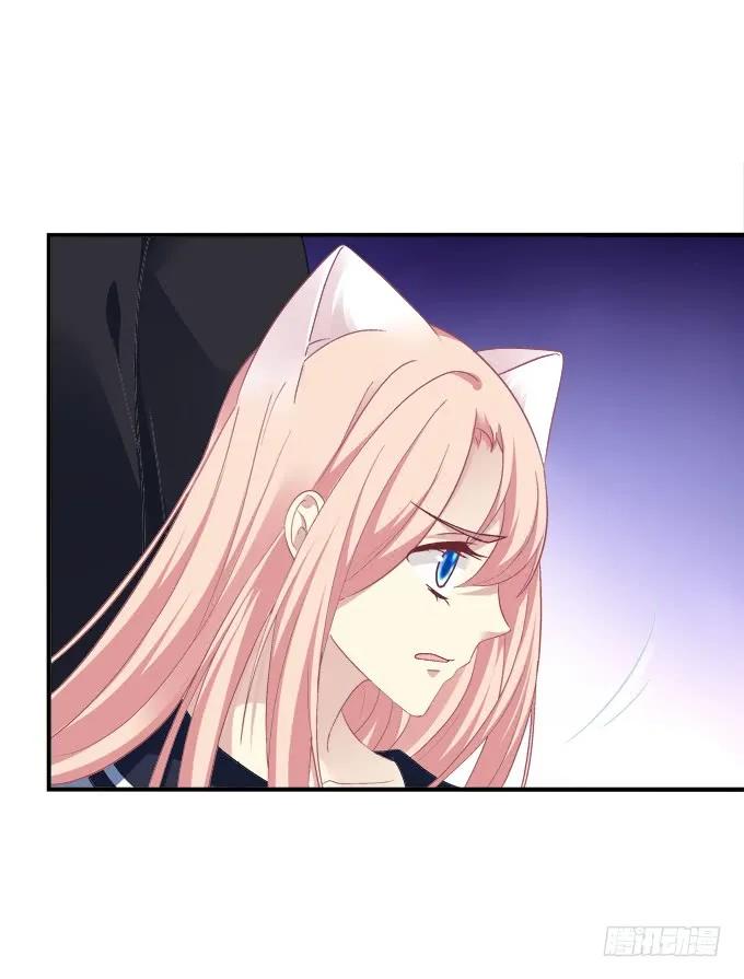 《猫妖的诱惑》霸道总裁的逃跑小娇妻！ 第35页