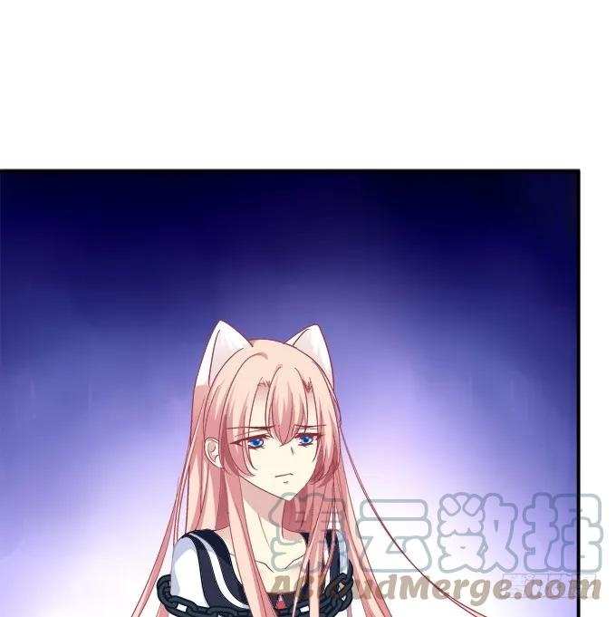 《猫妖的诱惑》霸道总裁的逃跑小娇妻！ 第13页