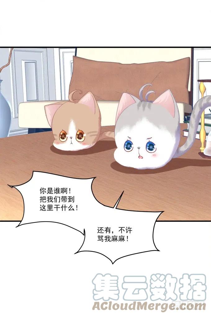 《猫妖的诱惑》孩子是谁的？！ 第19页