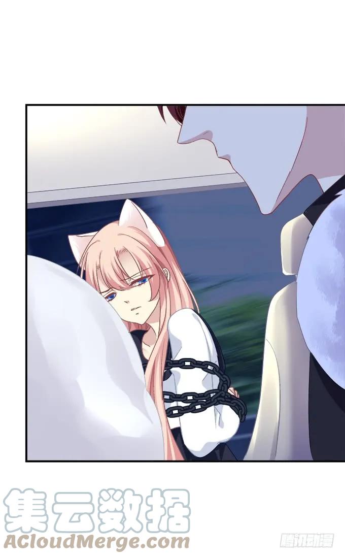 《猫妖的诱惑》孩子是谁的？！ 第13页