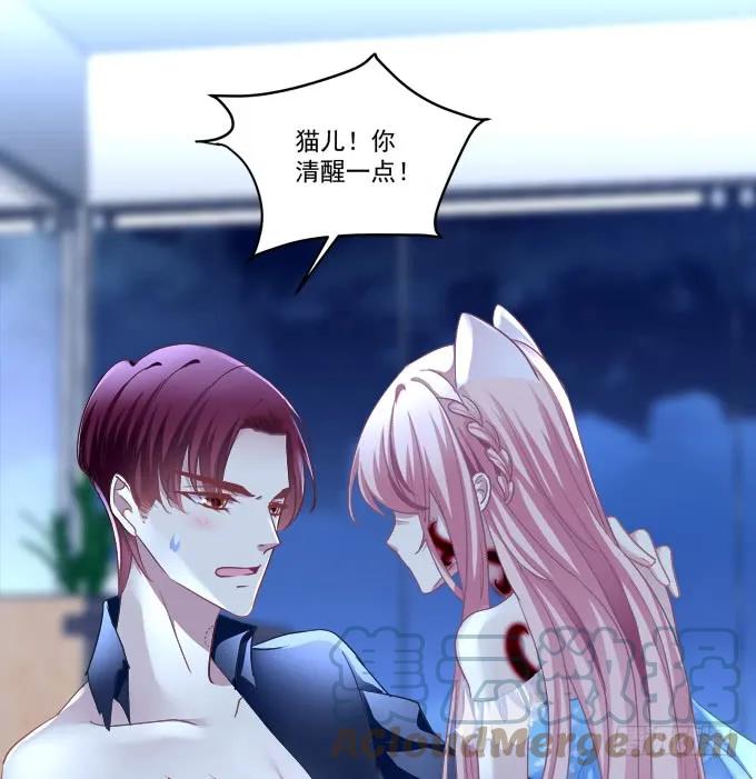 《猫妖的诱惑》兽性大发！ 第46页