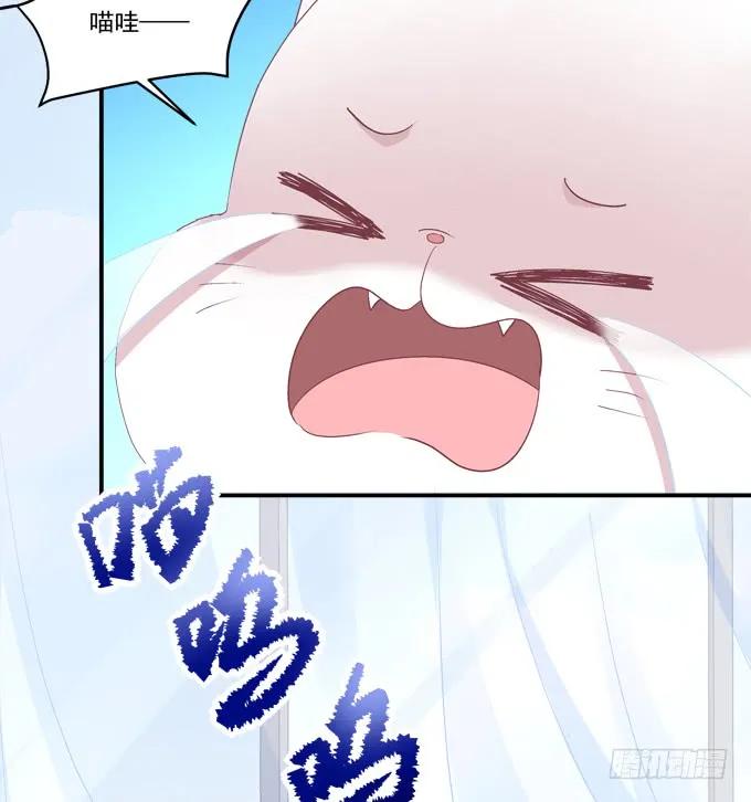 《猫妖的诱惑》儿子找上门！ 第47页