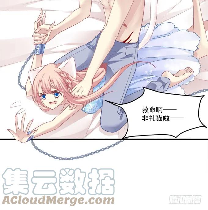 《猫妖的诱惑》儿子找上门！ 第52页