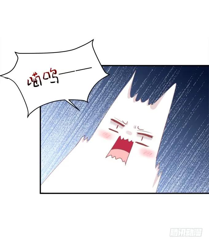 《猫妖的诱惑》儿子找上门！ 第17页