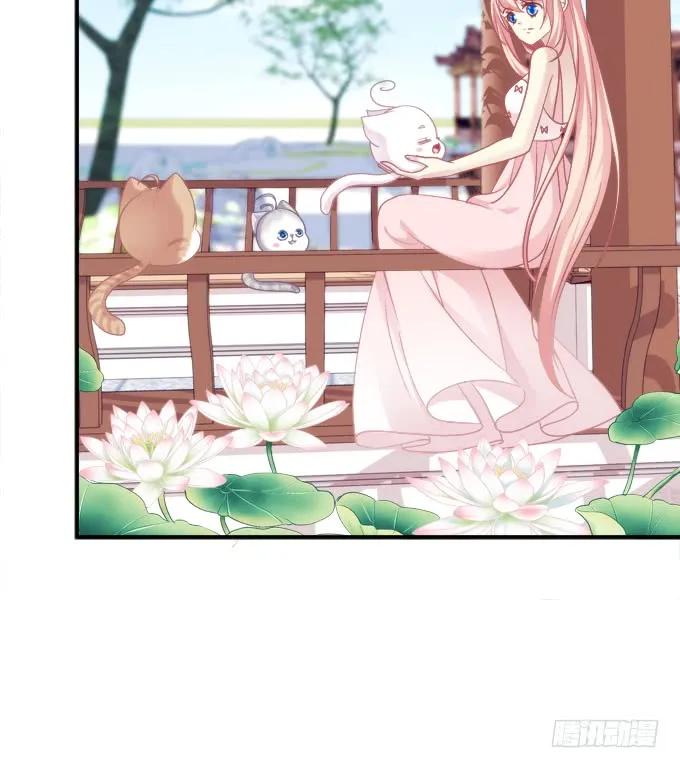 《猫妖的诱惑》还说不是你儿子！ 第17页