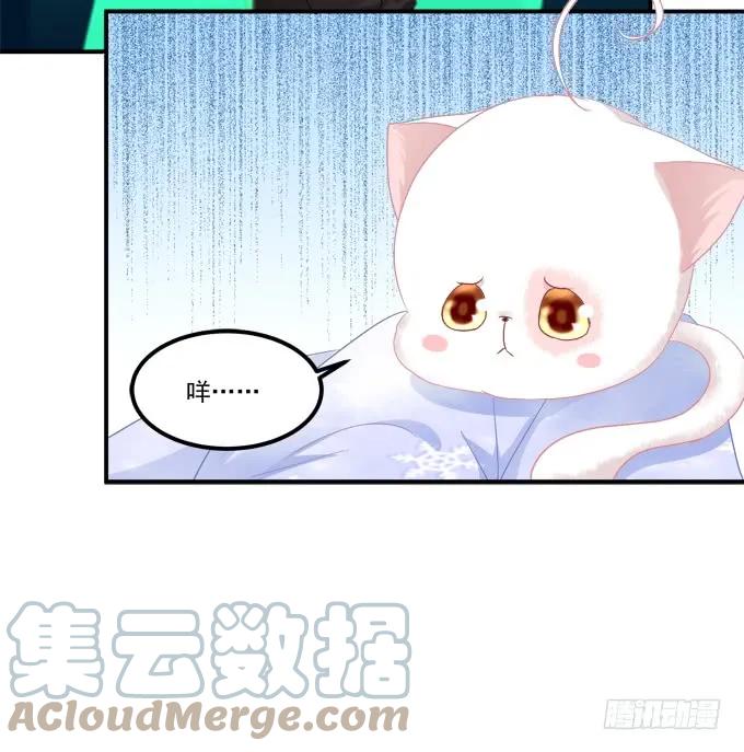 《猫妖的诱惑》还说不是你儿子！ 第13页