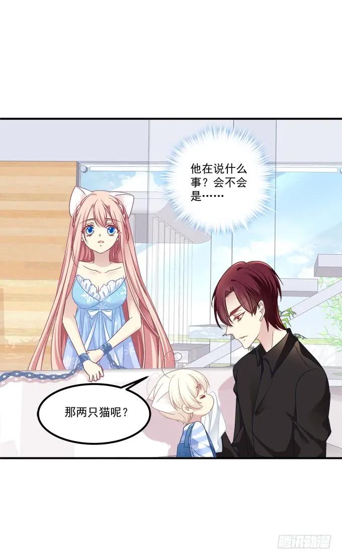 《猫妖的诱惑》你就是我的犯人！ 第19页
