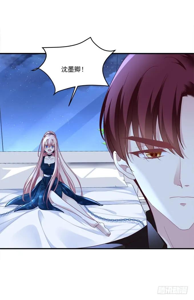 《猫妖的诱惑》我愿陪你到白首！ 第19页