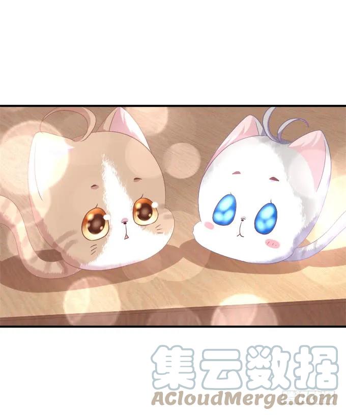 《猫妖的诱惑》成功出逃！ 第43页