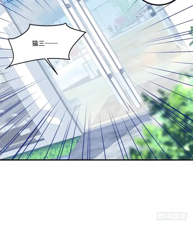 《猫妖的诱惑》成功出逃！ 第21页