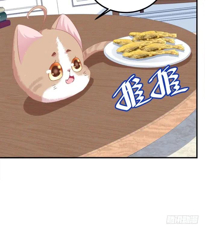 《猫妖的诱惑》成功出逃！ 第54页