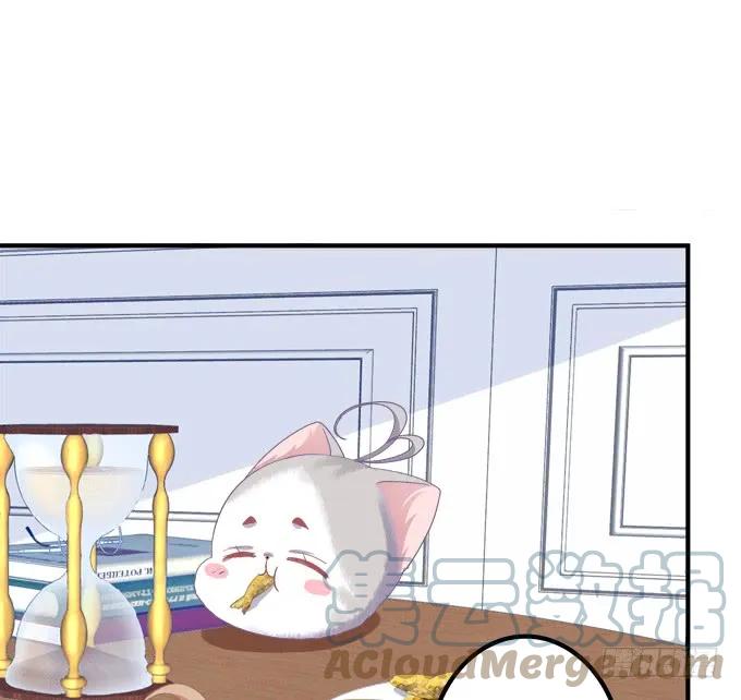 《猫妖的诱惑》成功出逃！ 第49页