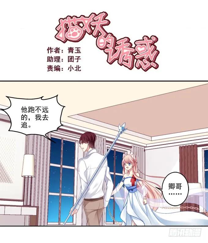《猫妖的诱惑》看爸妈生小毛球！ 第2页