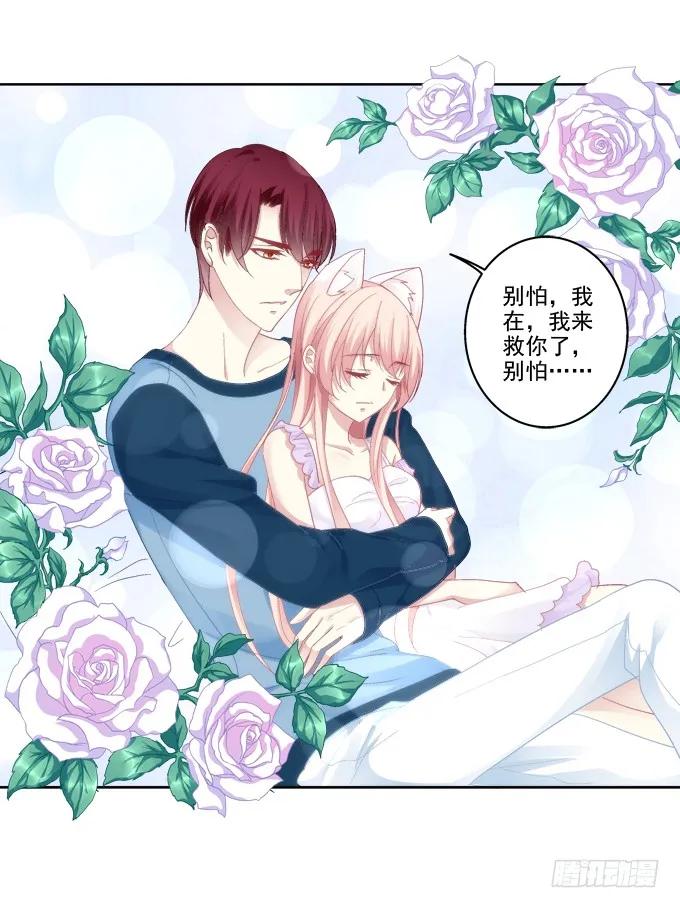 《猫妖的诱惑》看爸妈生小毛球！ 第20页