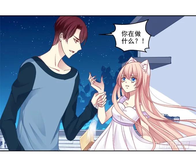 《猫妖的诱惑》看爸妈生小毛球！ 第33页