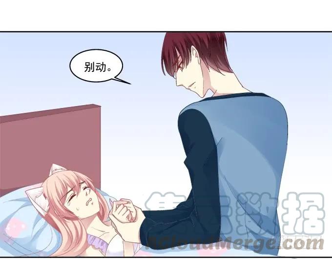 《猫妖的诱惑》看爸妈生小毛球！ 第16页
