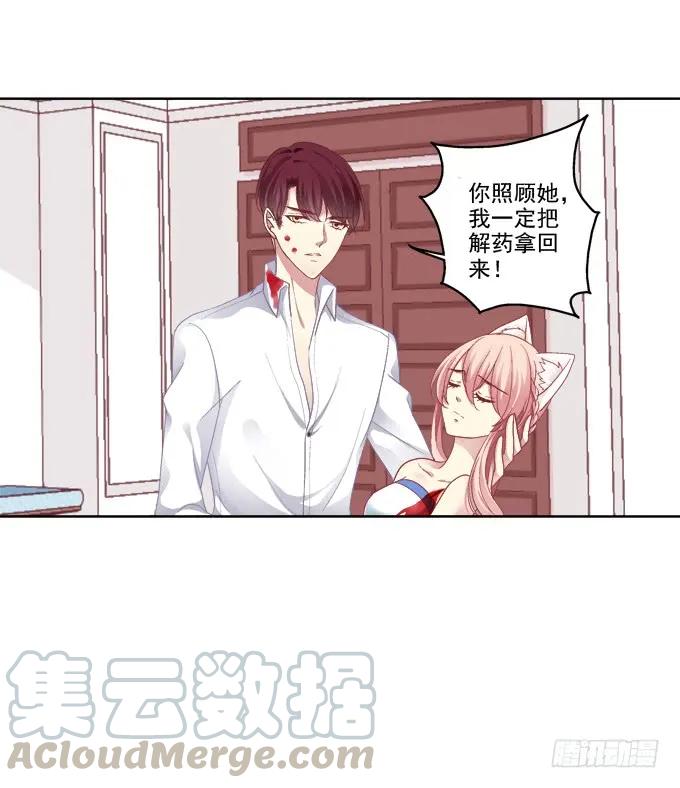 《猫妖的诱惑》看爸妈生小毛球！ 第7页