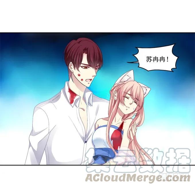 《猫妖的诱惑》看爸妈生小毛球！ 第4页