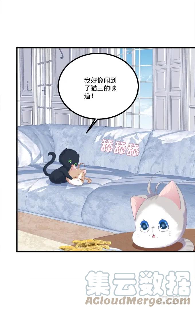 《猫妖的诱惑》猫崽的爸爸到底是谁！ 第7页