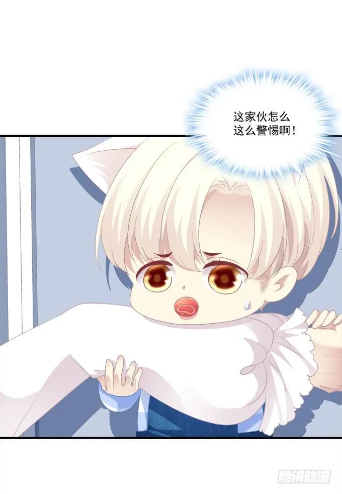 《猫妖的诱惑》猫崽的爸爸到底是谁！ 第6页