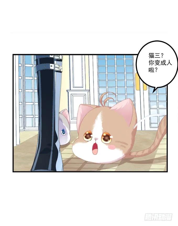 《猫妖的诱惑》猫崽的爸爸到底是谁！ 第12页