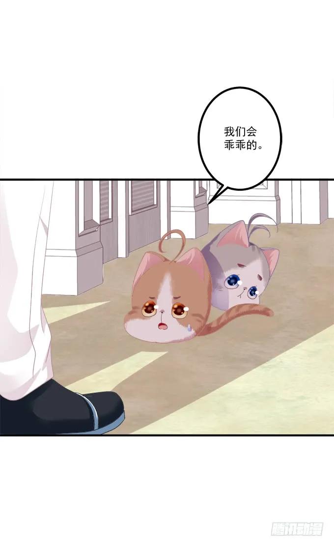 《猫妖的诱惑》卿哥和长笑正面刚！ 第36页