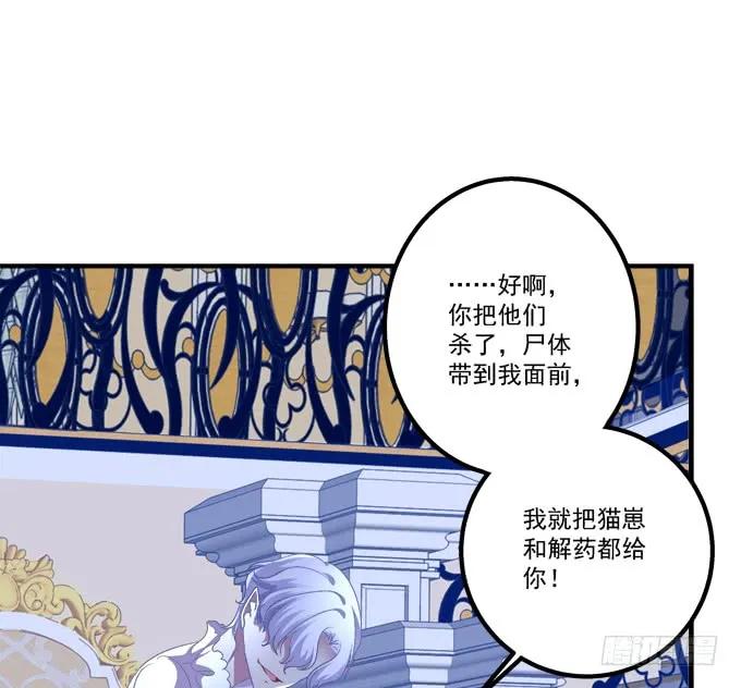 《猫妖的诱惑》血债要血偿！ 第38页